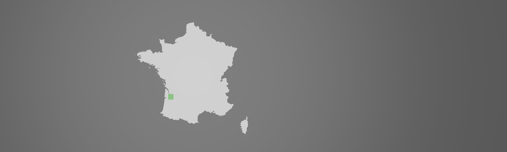 banner_image