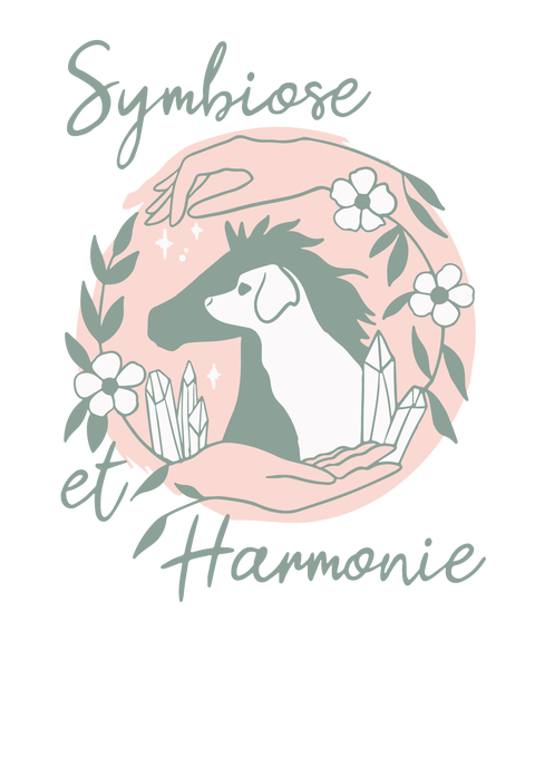 Massage pour animaux et techniques naturelles