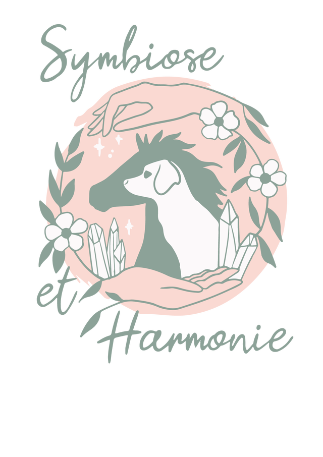 Massage pour animaux et techniques naturelles