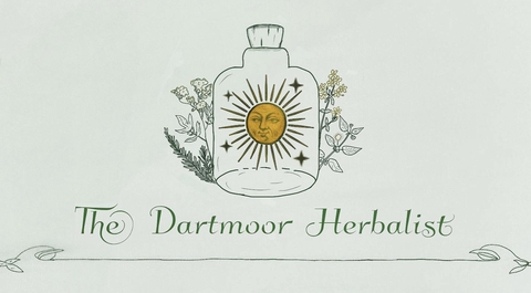 Walks, workshops, talks and bookable bespoke activities for groups