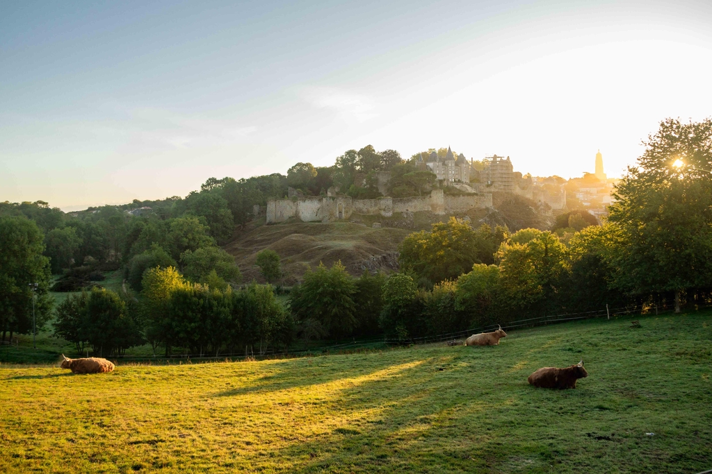 Château de Bressuire (79) au première lueurs du jour entouré de pâturage où sont couchés des vaches.