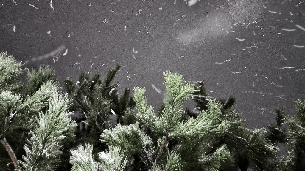 Customer's review of the Ominous Oracle: "A very unusual deck".