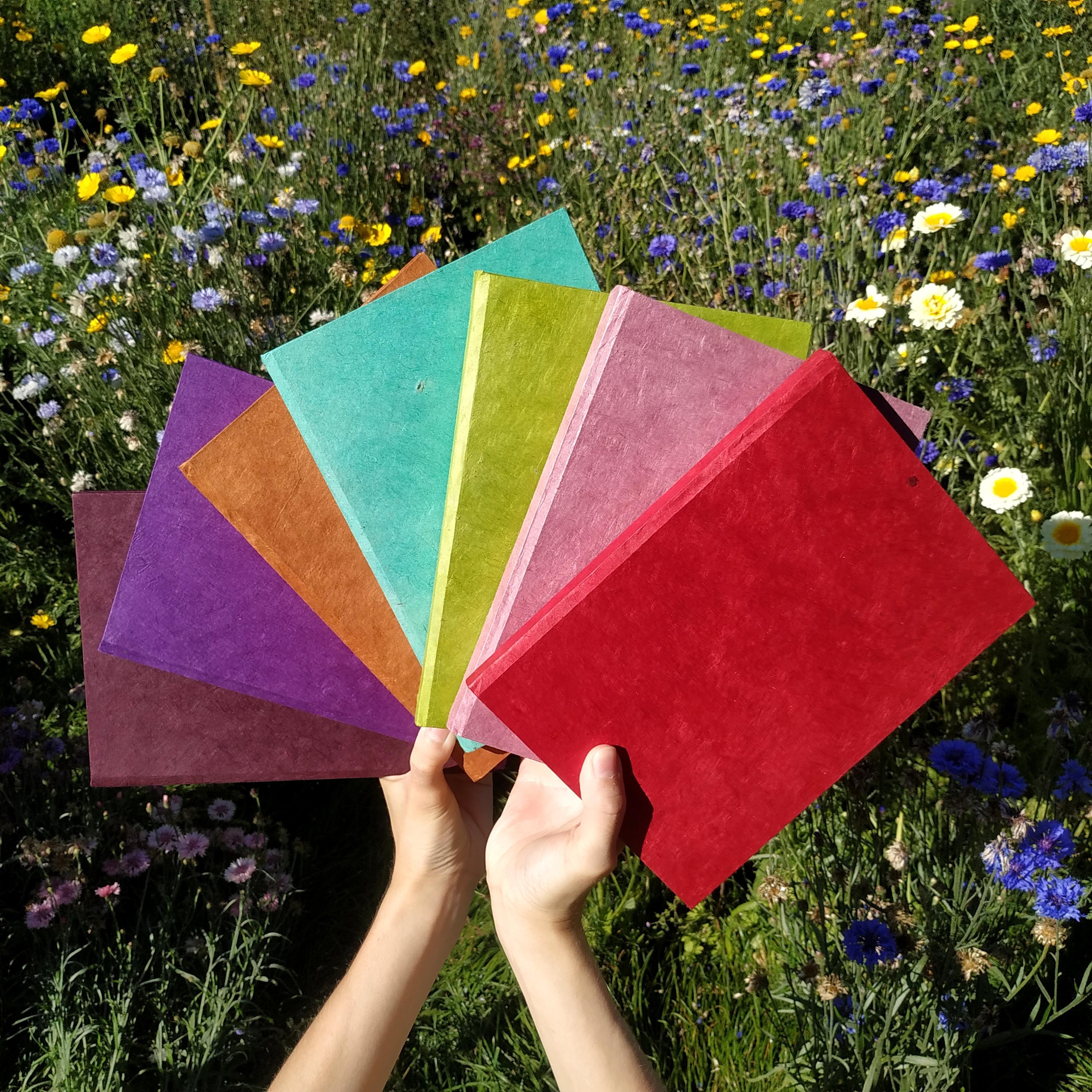 Carnets Lokta