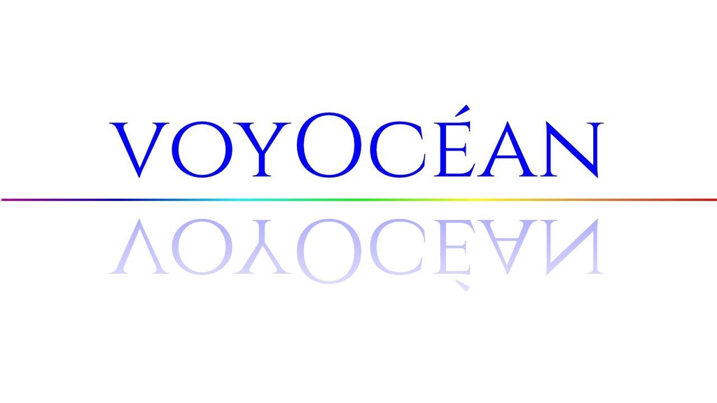 voyocean limoges lithothérapie géobiologie numérologie sonothérapie bien-être boutique en ligne