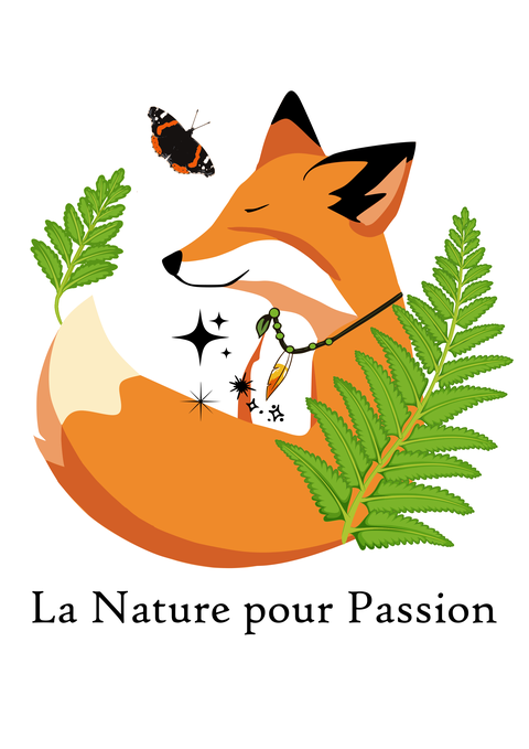 store_logo
