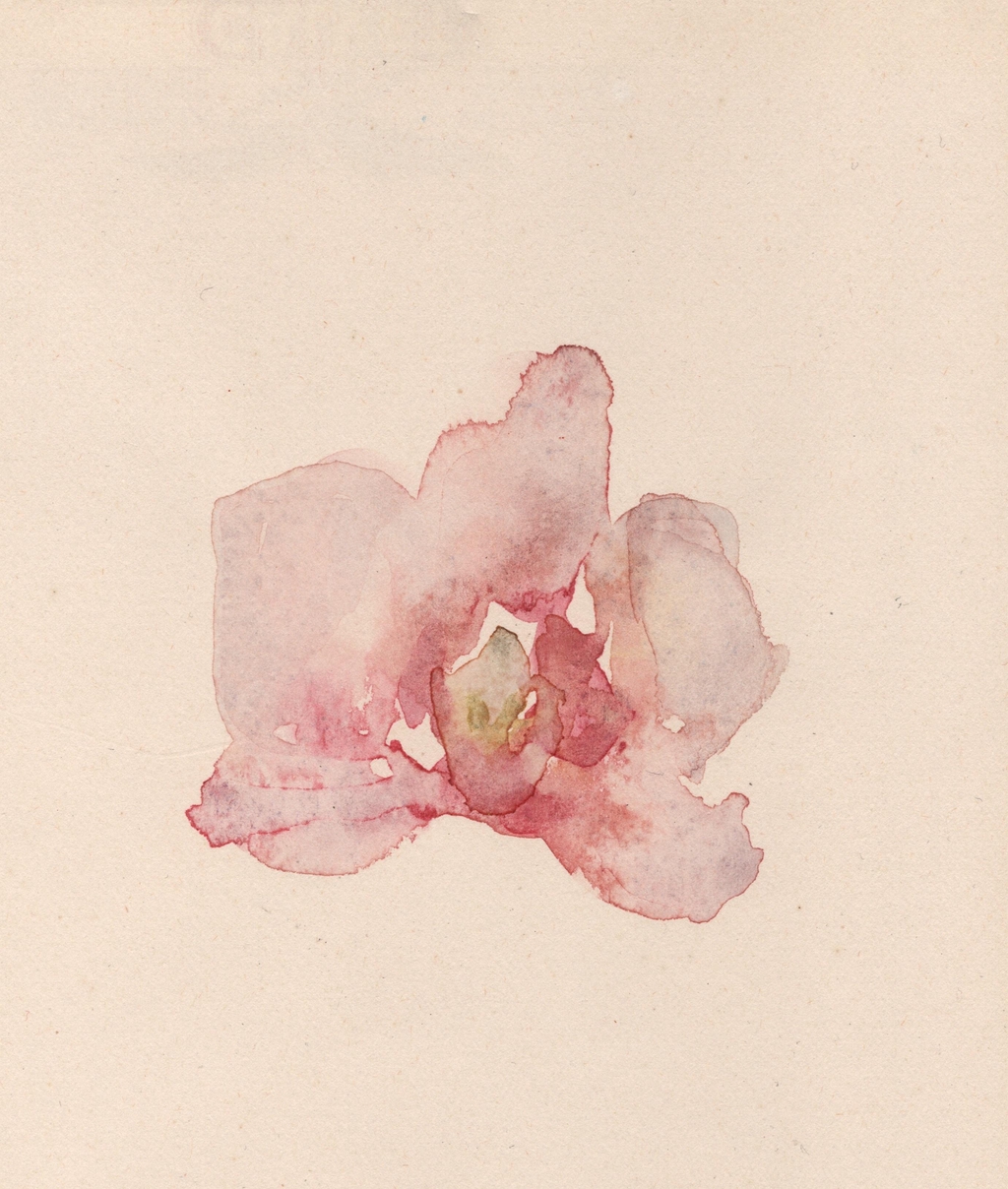 Solange VIANA
ART & ILLUSTRATIONS