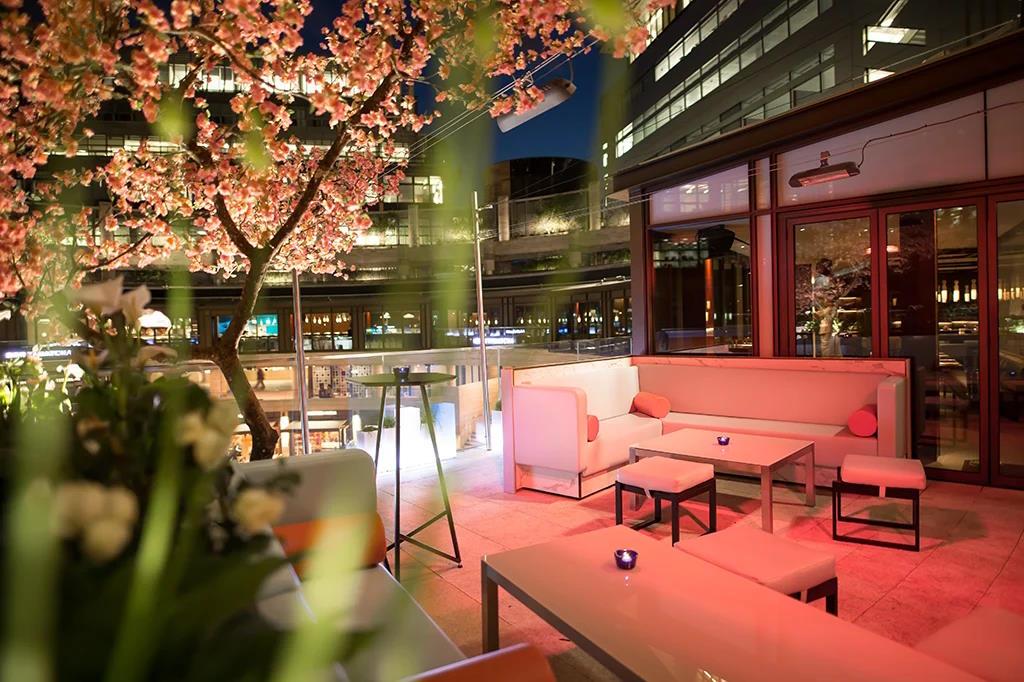 A Night Under the Stars