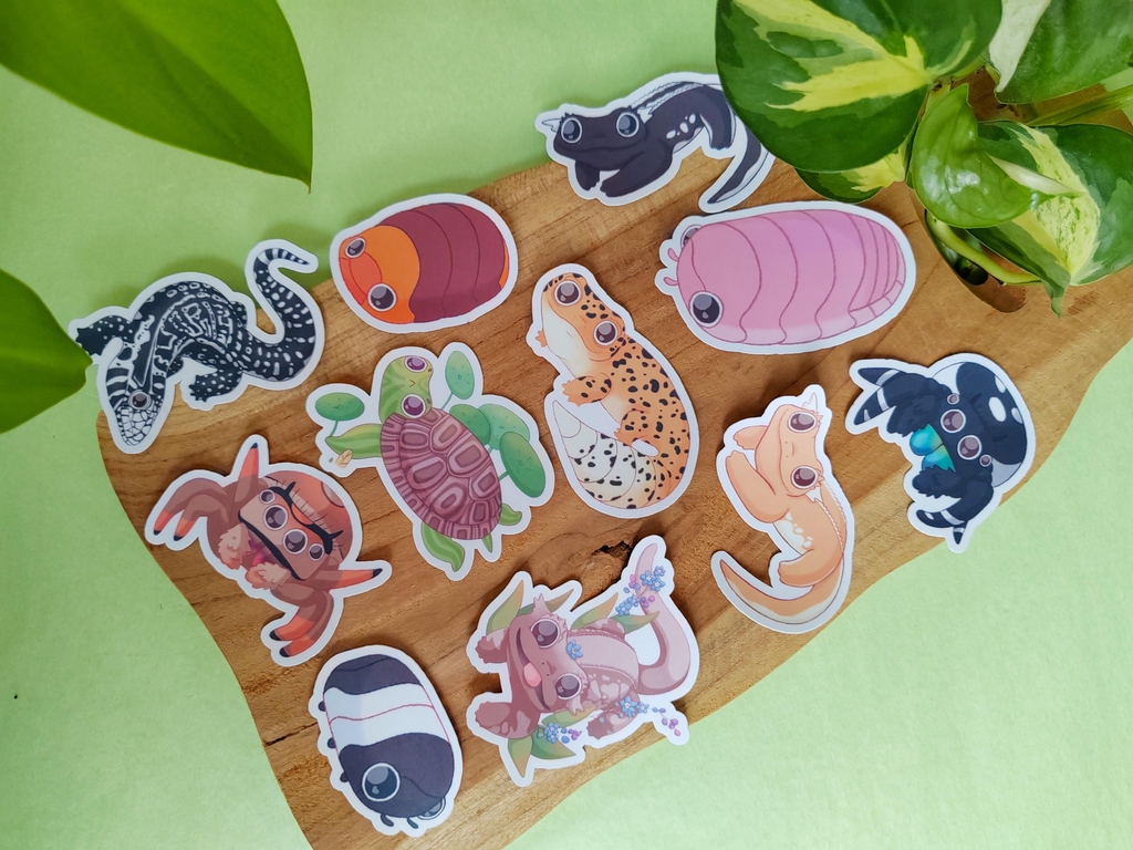 Stickers en vinyle mat ou holographique, résistants à l'eau et aux UV