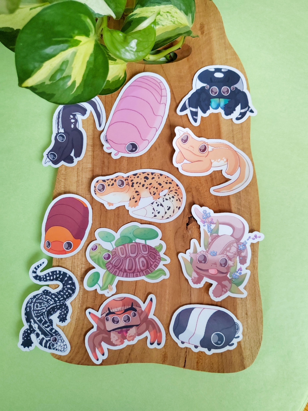 Stickers en vinyle mat ou holographique, résistants à l'eau et aux UV