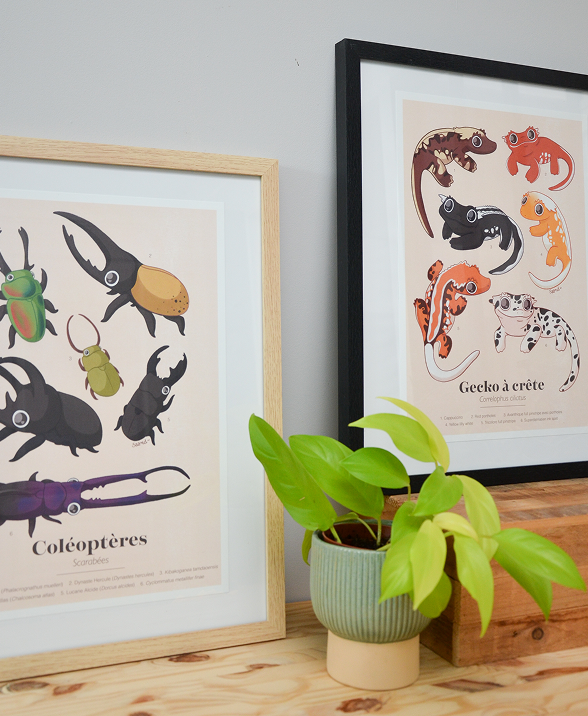 Catégorie "Collection Planches d'études"