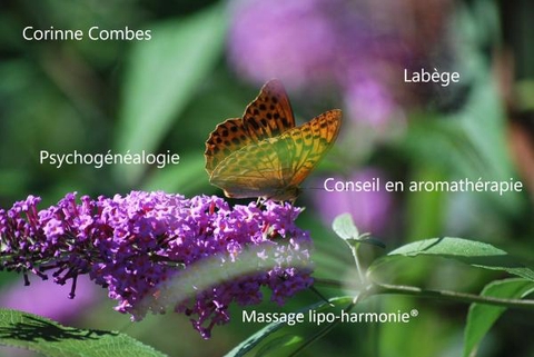 Pratricienne en thérapies douces