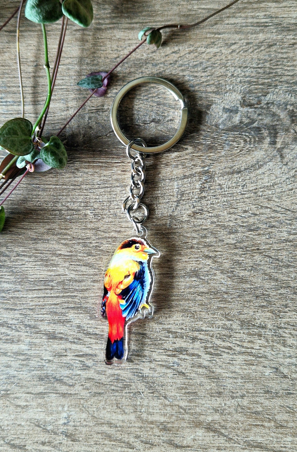 product_list_image_cover