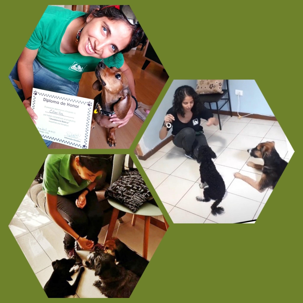 banner_image