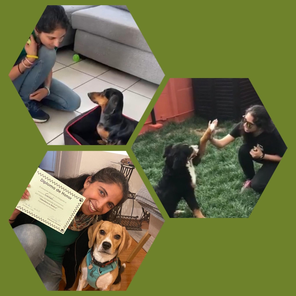 banner_image