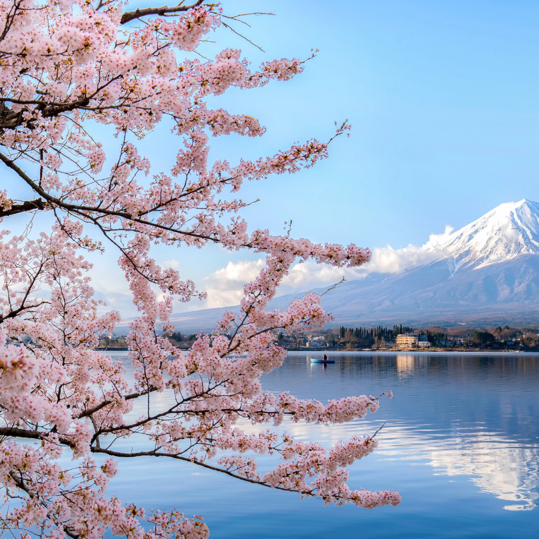 Evasion au Japon