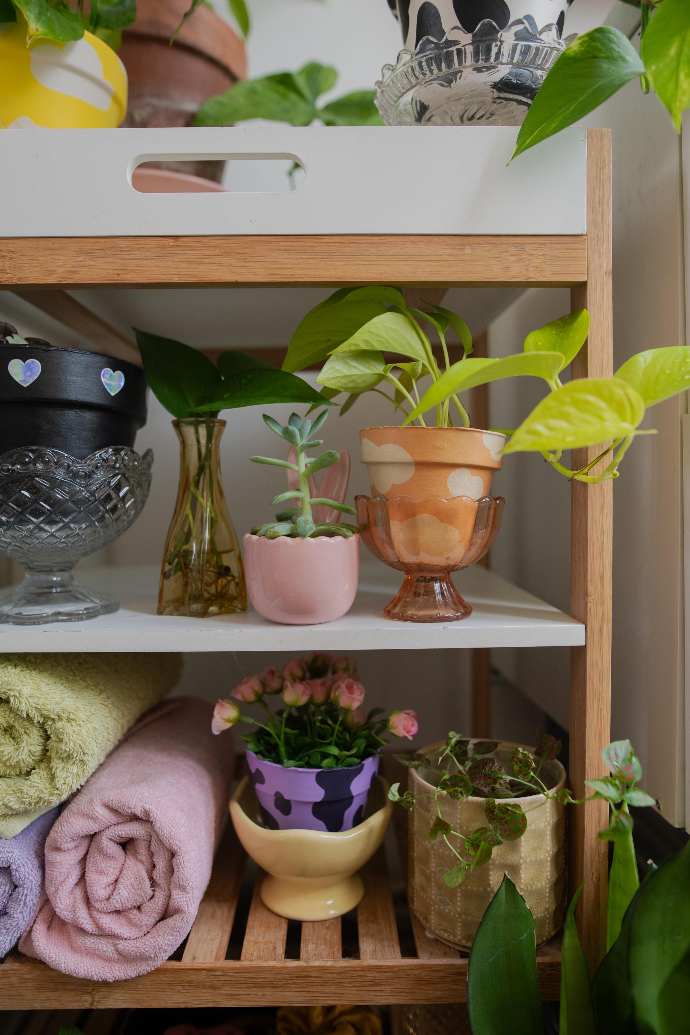 Accessoires pour plantes