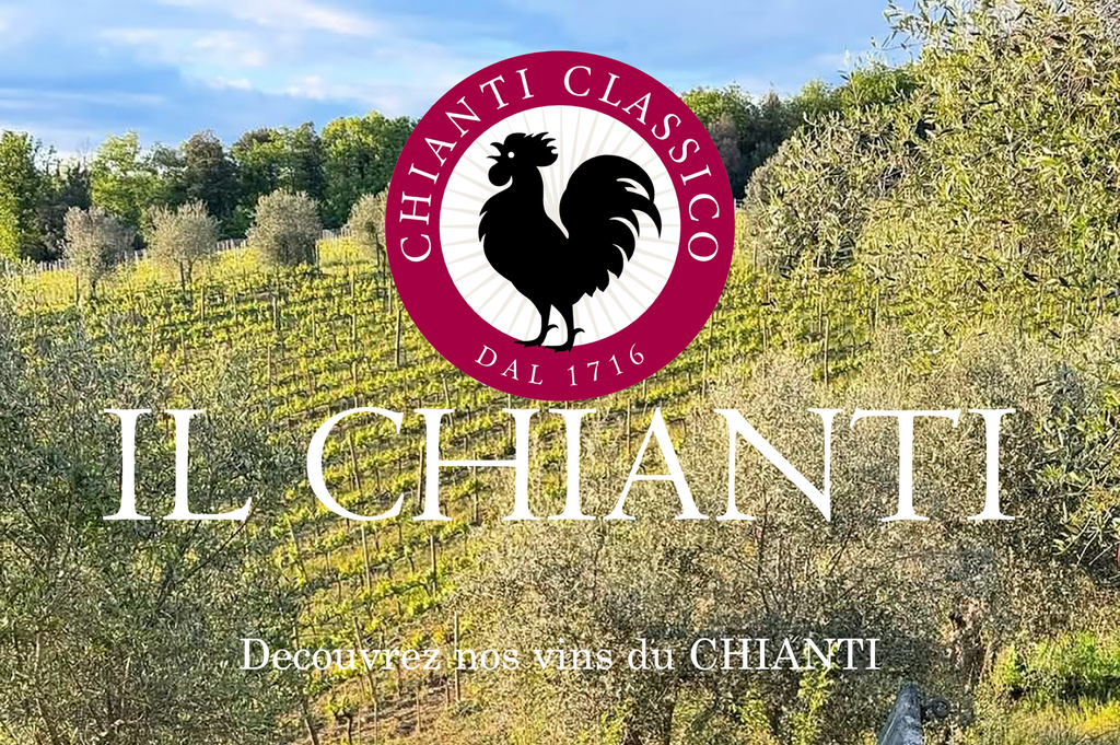Découvrez nos vins du Chianti Classico
