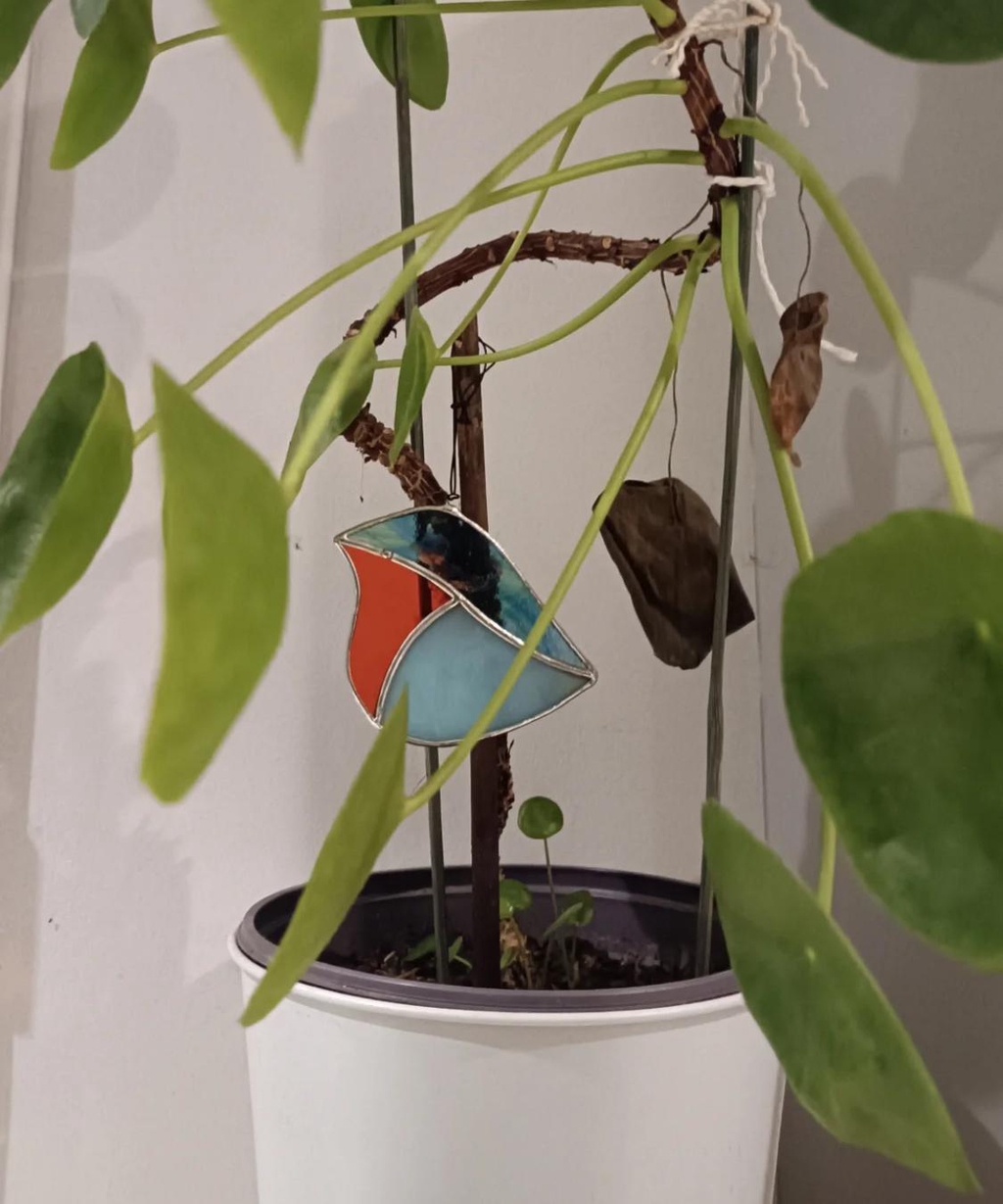banner_image