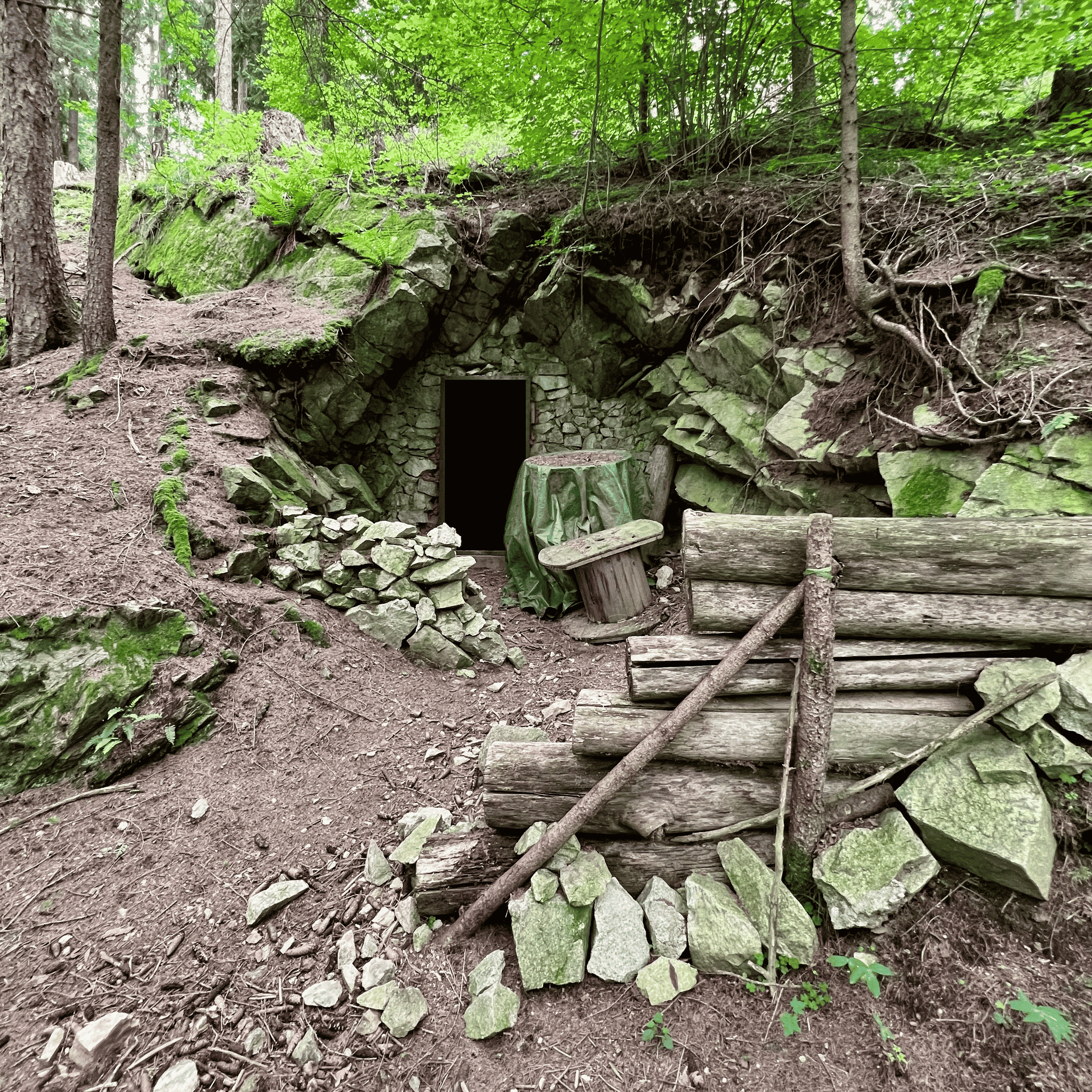 Section image