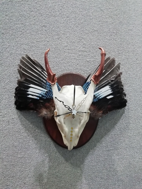 A photograph of a muntjac deer skull mounted on a dark wood oval, hanging on a wall decorated vintage map wallpaper. The skull has been embellished and has copper painted horns, jay wings, and is decorated with clock hands and resin crystals to give a steampunk look.