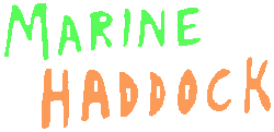 store_logo