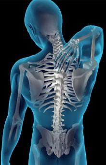 Vertèbro-thérapie.