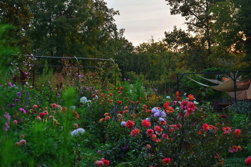 Jardin Cantous - fleurs de saison