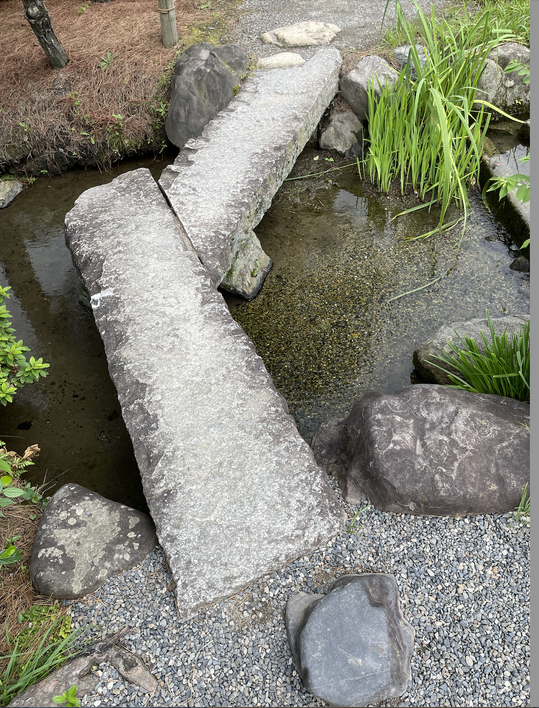 Section image