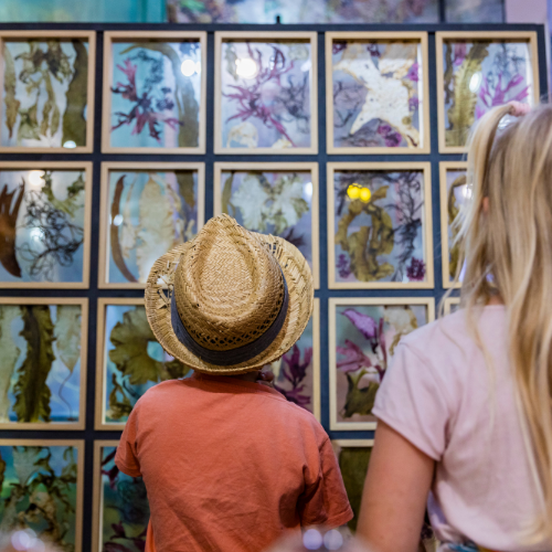 Site de l'écomusée