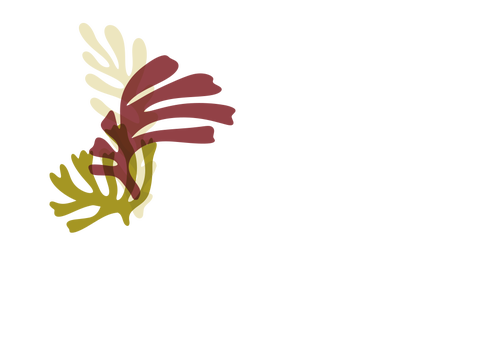 Centre ALGAE
