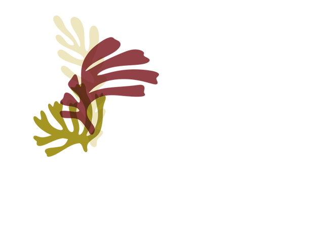Centre ALGAE