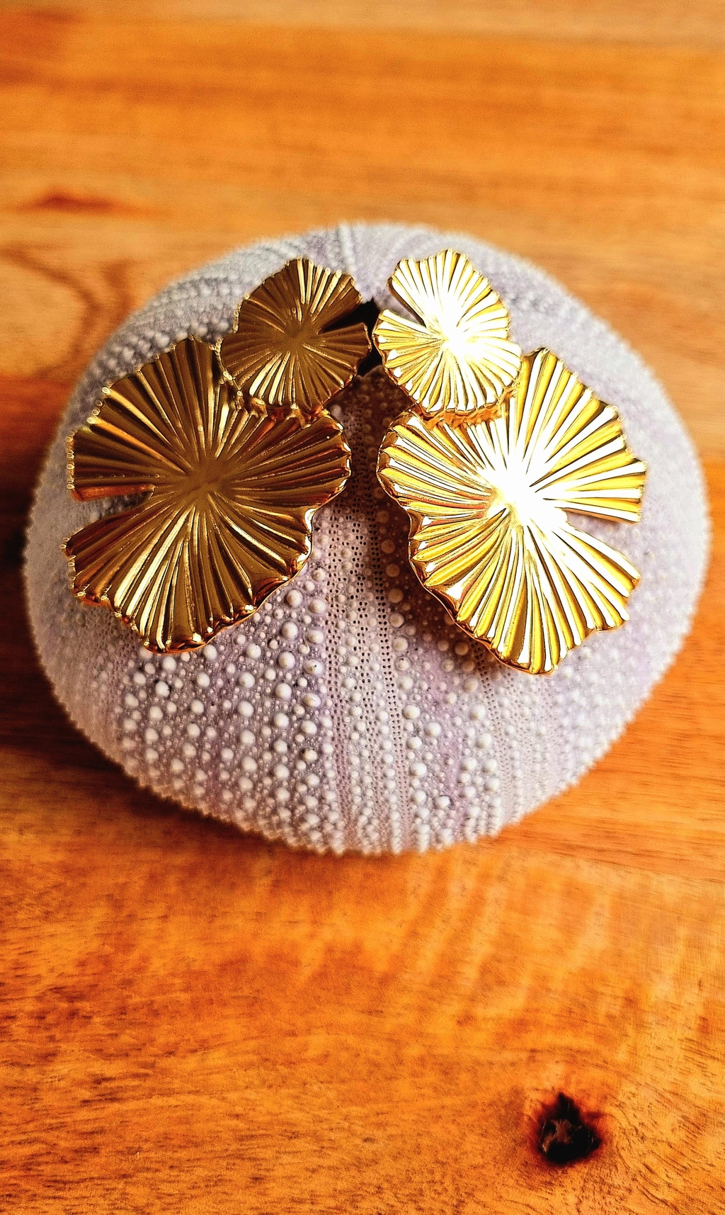 product_list_image_cover