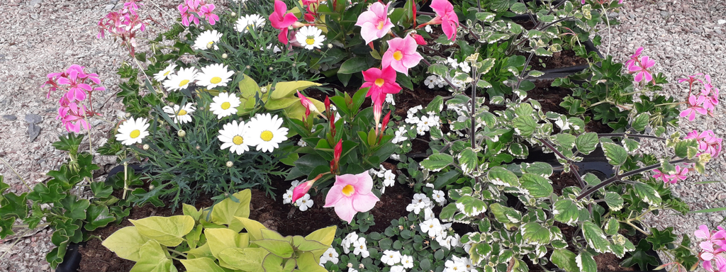 Compositions de ville