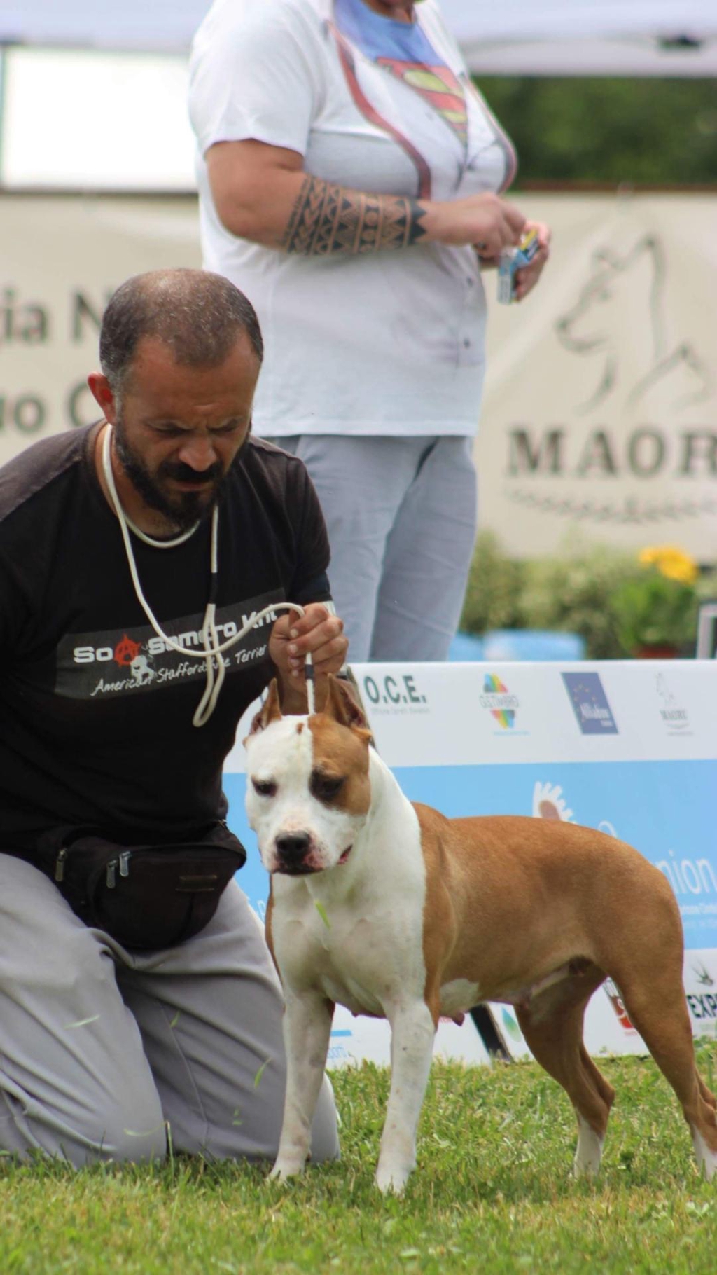 SEI UN ALLEVATORE E DESIDERI PROVARE I NOSTRI PRODOTTI DOGZONO ?! 