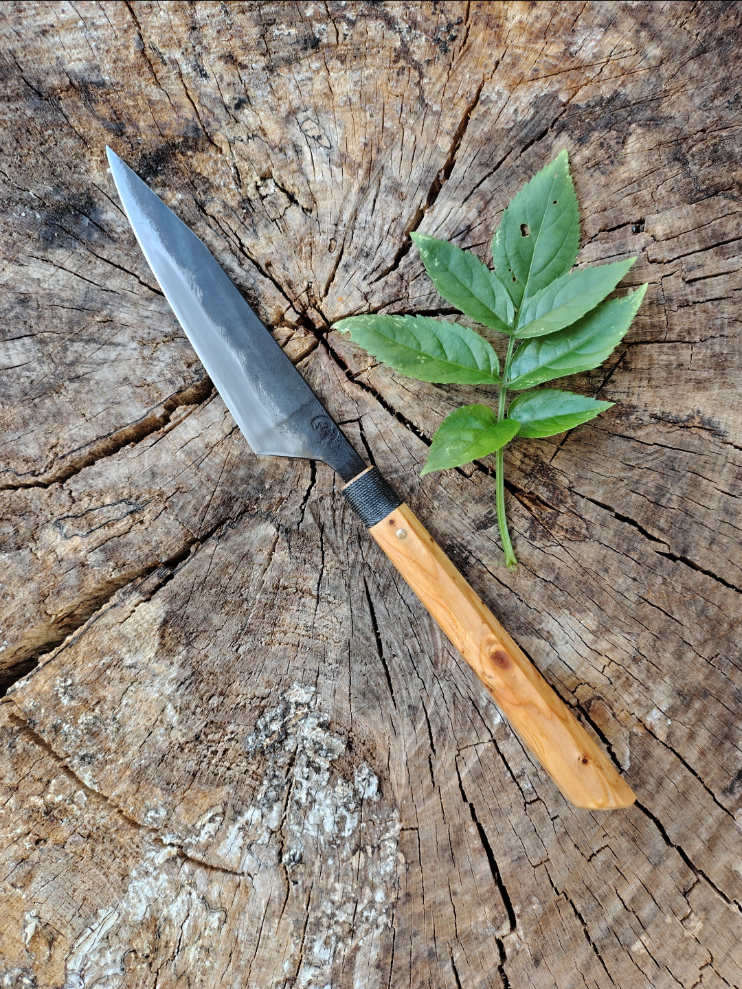 Couteaux à Steak