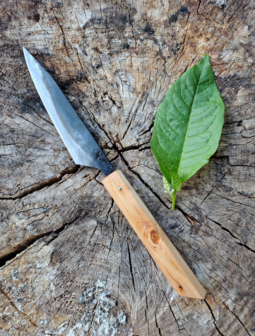 Couteaux de table, idéal pour couper sa viande ou ses légumes délicatement et sans effort.