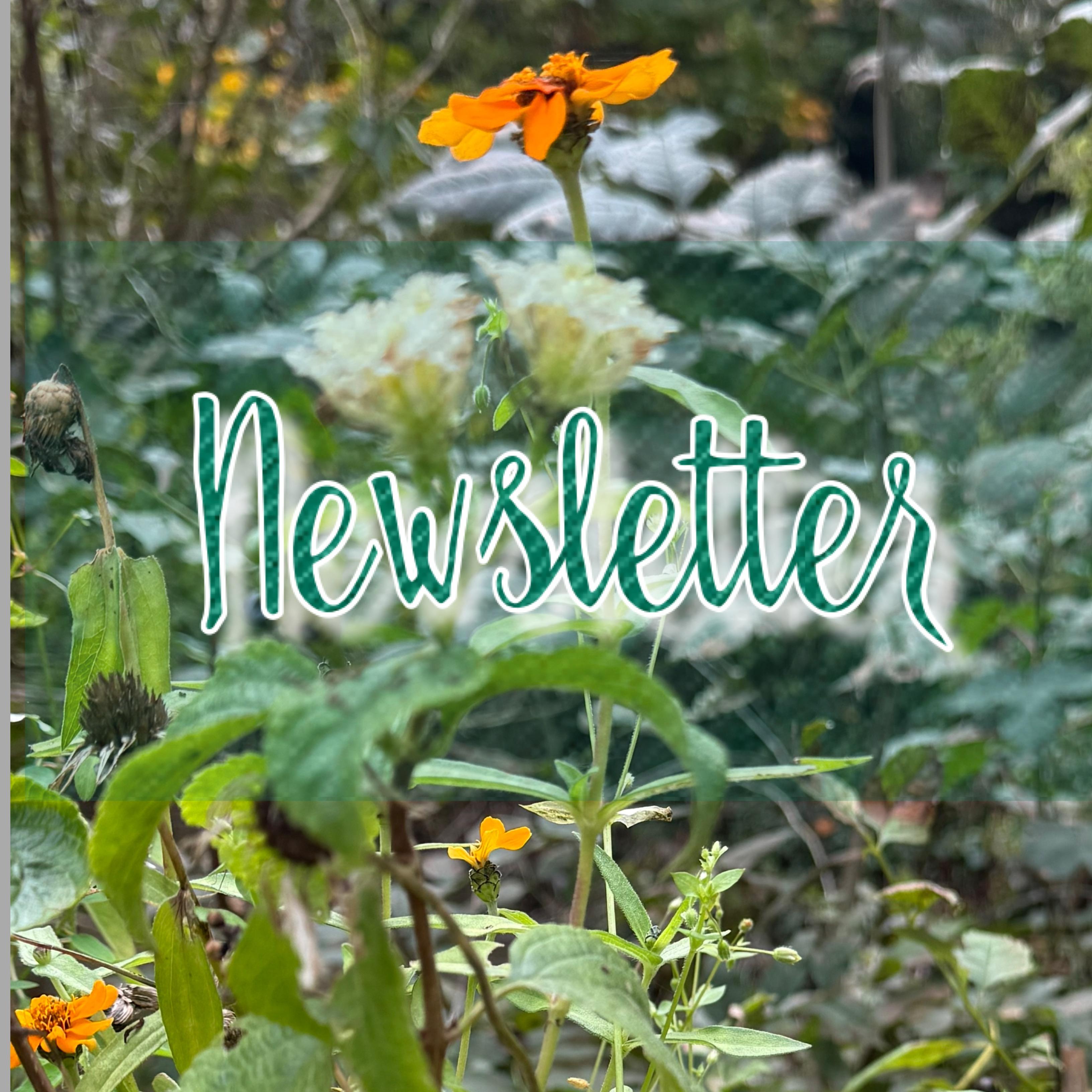 Newsletter
