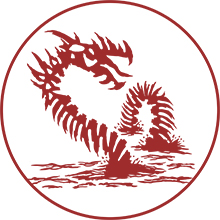 Maison d'éditions créée pour lancer les romans et jeux de rôles des auteurs de demain.