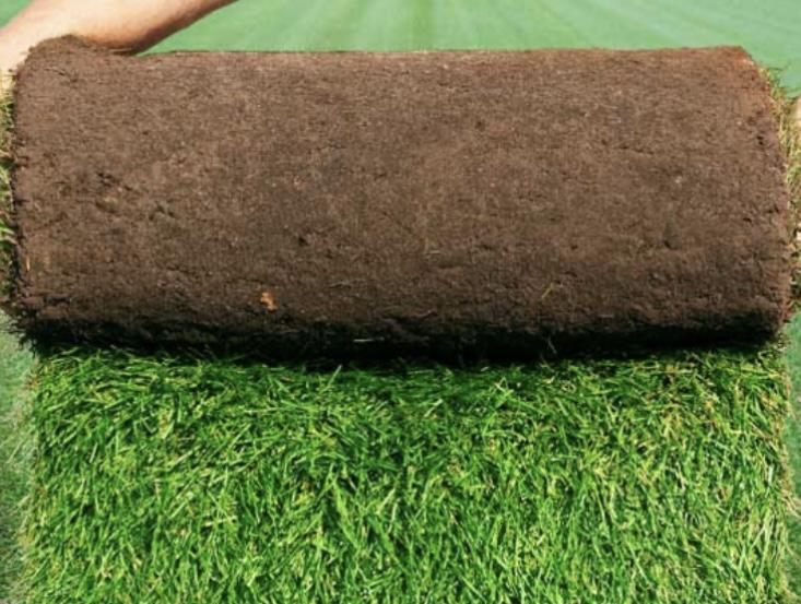 Alles rund um den Garten