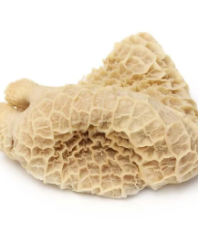 product_list_image_cover