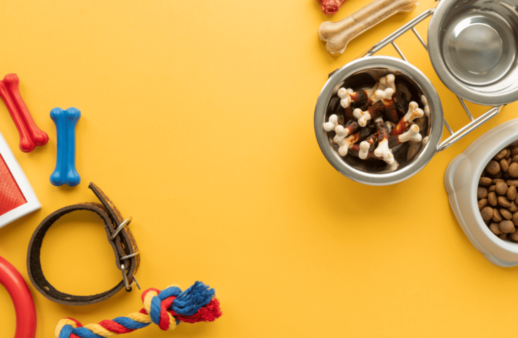 SEU PET MERECE O MELHOR <3
