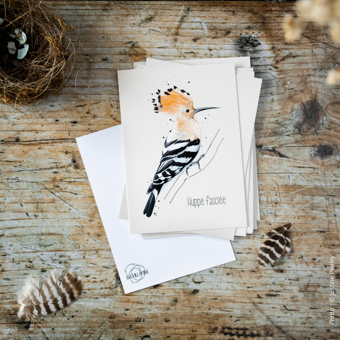Site et boutique en ligne brouillamini