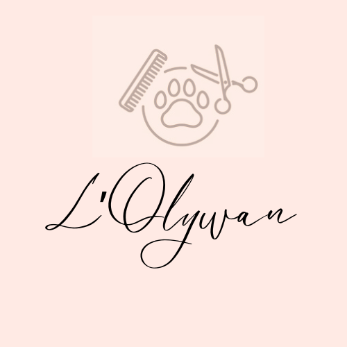 banner_image