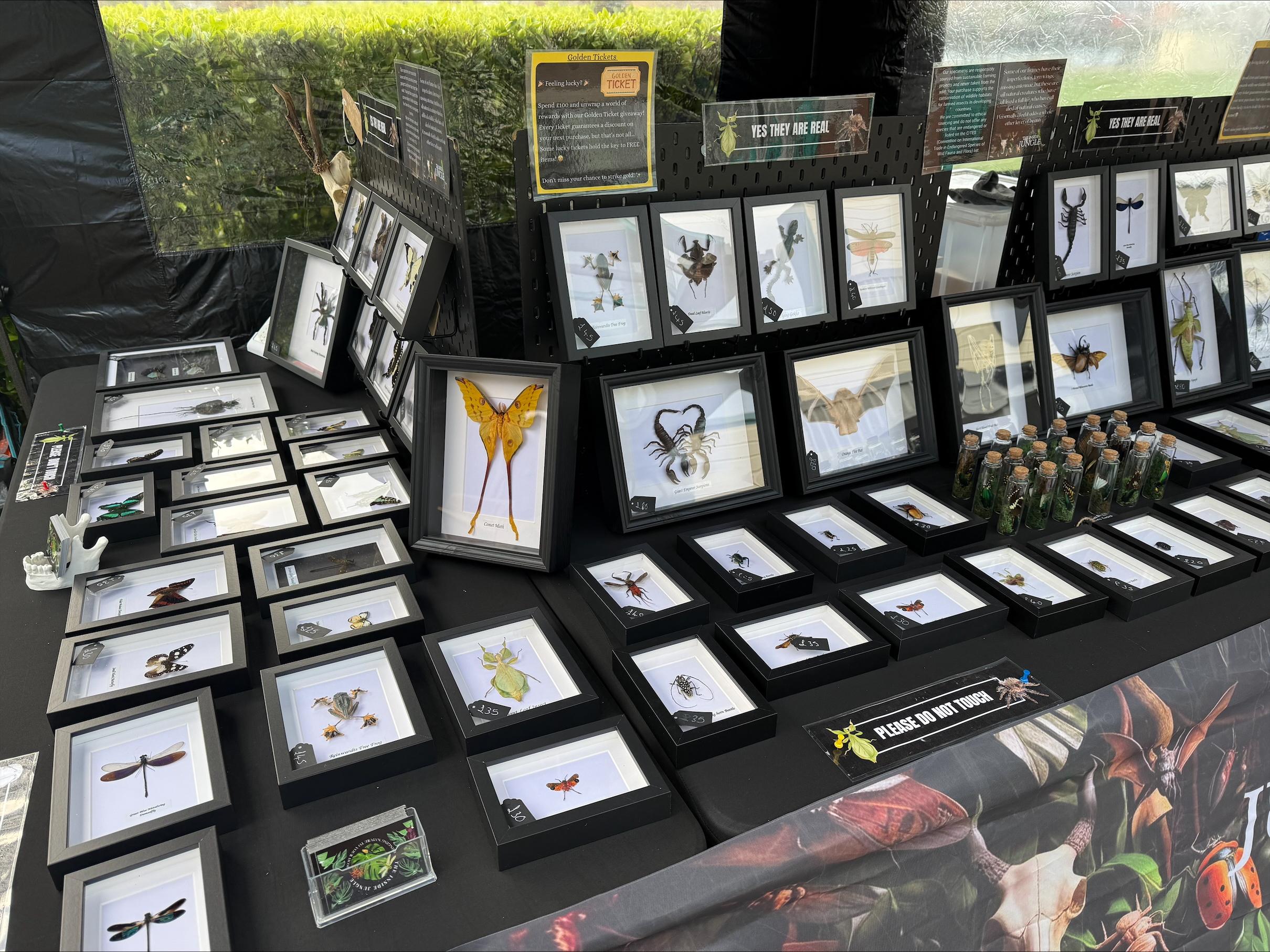 Event Display Photo