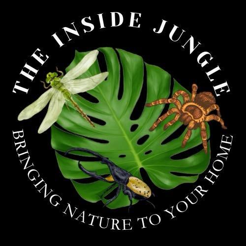 Bringing nature in to your home 