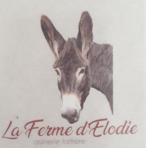 asinerie laitière