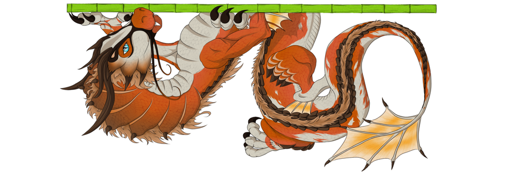 Willkommen im Paradies für Drachen, Dinos, Fantasy und Memes