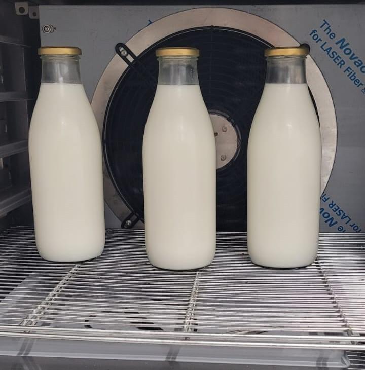 Les vertus du lait de jument