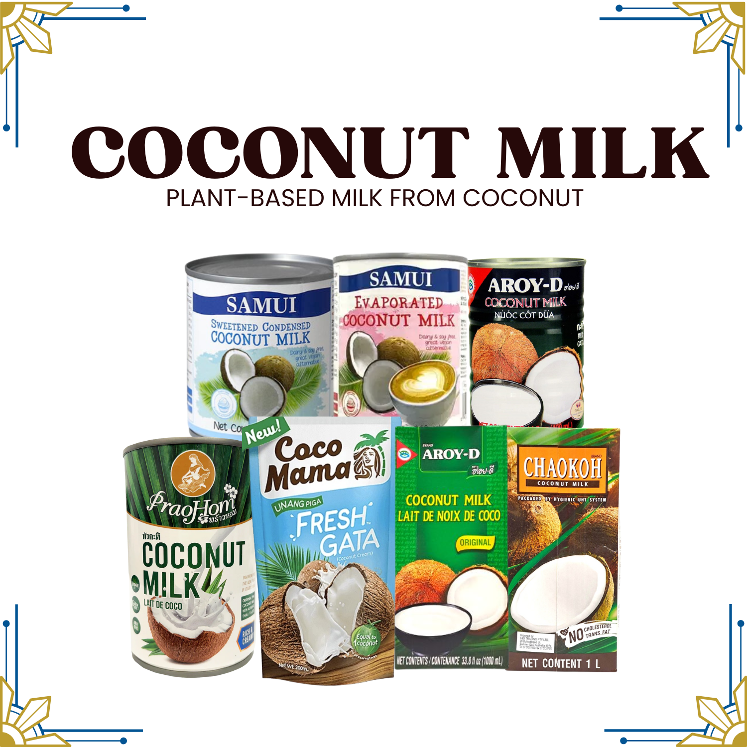 Coconut Milk