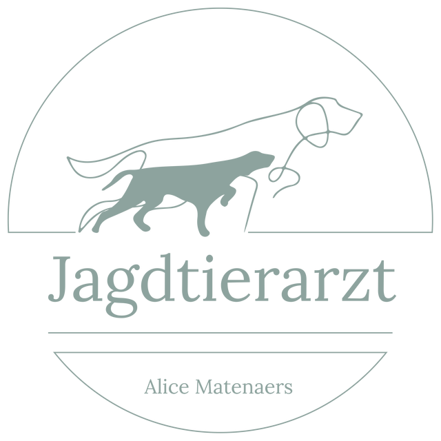 Jagdtierarzt Onlineshop
